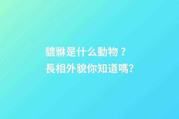 貔貅是什么動物？長相外貌你知道嗎？